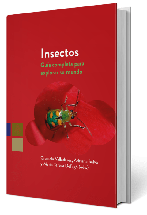 Insectos. Guía completa para explorar su mundo