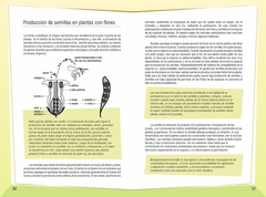 CULTIVO DE PLANTAS NATIVAS - buy online