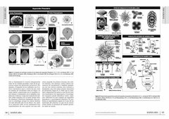 Los Invertebrados Fósiles (Tomo I y II) - comprar online