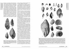 Los Invertebrados Fósiles (Tomo I y II) - La Biblioteca del Naturalista