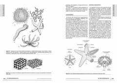 Los Invertebrados Fósiles (Tomo I y II)