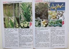 Plantas del Monte Argentino - buy online