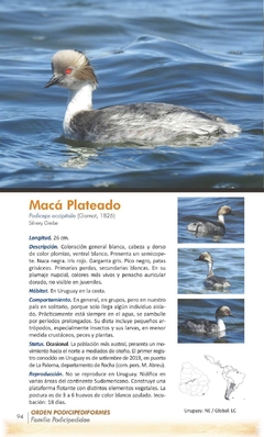 Imagen de AVES DEL URUGUAY.