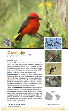 AVES DEL URUGUAY. en internet