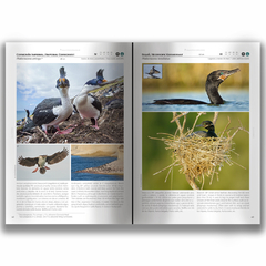 Aves-Birds Península Valdés (Todos los medios de pago) - comprar online