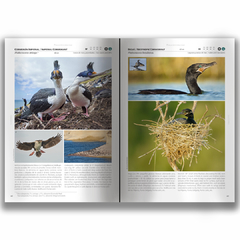Libro: Aves-Birds Península Valdés - buy online