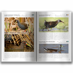 Libro: Aves-Birds Península Valdés on internet
