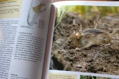 Libro: Los mamíferos de Argentina y la región austral de Sudamérica - La Biblioteca del Naturalista