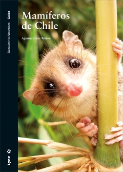 Mamíferos de Chile