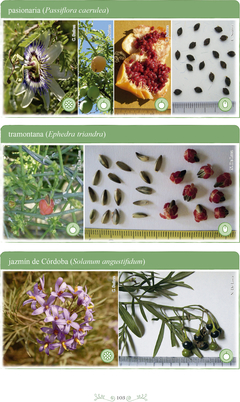 Manual de Cultivo y Forestación de Especies Nativas para el Centro de Argentina - La Biblioteca del Naturalista
