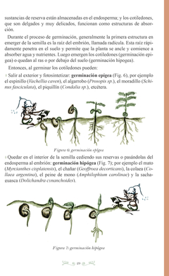 Image of Manual de Cultivo y Forestación de Especies Nativas para el Centro de Argentina