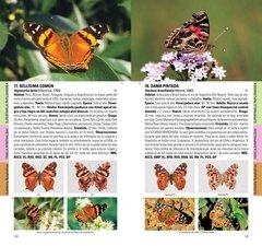 Imagen de MARIPOSAS de la Ciudad de Buenos Aires y alrededores