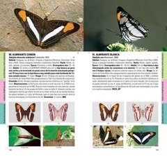 MARIPOSAS de la Ciudad de Buenos Aires y alrededores