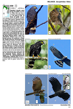 Guía Audiornis de las Aves de Argentina - comprar online