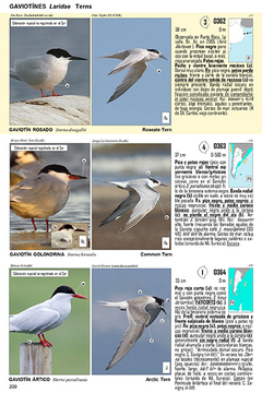Guía Audiornis de las Aves de Argentina - La Biblioteca del Naturalista
