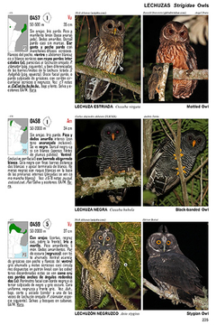 Imagen de Guía Audiornis de las Aves de Argentina