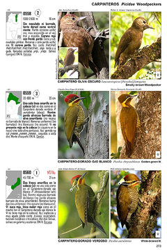 Guía Audiornis de las Aves de Argentina en internet