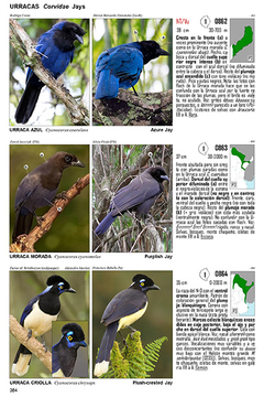 Imagen de Guía Audiornis de las Aves de Argentina