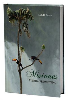 MISIONES - Tierra Prometida