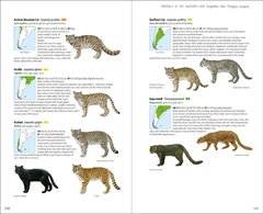 Libro Mammals of the Southern Cone. Argentina, Chile, Paraguay, Uruguay (IDIOMA INGLÉS) on internet