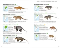 Libro Mammals of the Southern Cone. Argentina, Chile, Paraguay, Uruguay (IDIOMA INGLÉS) - La Biblioteca del Naturalista