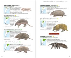 Image of Libro Mammals of the Southern Cone. Argentina, Chile, Paraguay, Uruguay (IDIOMA INGLÉS)