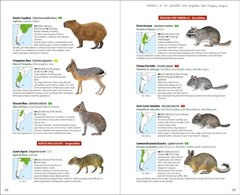 Libro Mammals of the Southern Cone. Argentina, Chile, Paraguay, Uruguay (IDIOMA INGLÉS) - tienda online