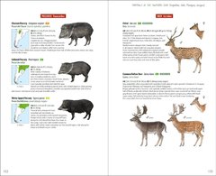 Libro Mammals of the Southern Cone. Argentina, Chile, Paraguay, Uruguay (IDIOMA INGLÉS)