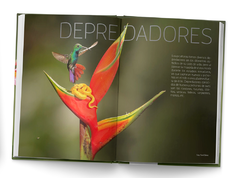 Libro Picaflores en Argentina y Sudamérica - buy online