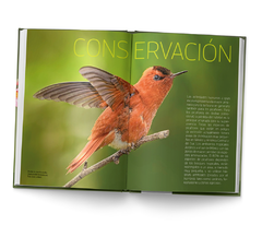 Libro Picaflores en Argentina y Sudamérica - La Biblioteca del Naturalista