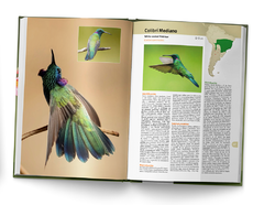 Image of Libro Picaflores en Argentina y Sudamérica