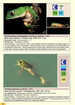 Anfibios y Reptiles de Misiones - La Biblioteca del Naturalista
