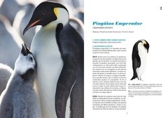 Pingüinos: Historia Natural y Conservación - La Biblioteca del Naturalista