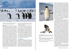 Pingüinos: Historia Natural y Conservación - online store