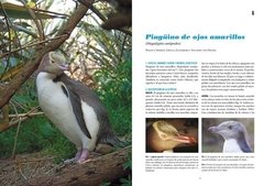 Pingüinos: Historia Natural y Conservación on internet