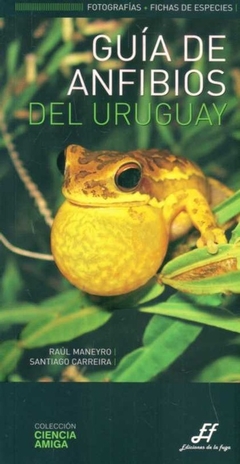 Guía De Anfibios Del Uruguay