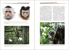 Primates Biología, comportamiento y evolución - comprar online