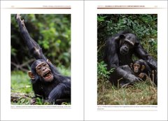 Primates Biología, comportamiento y evolución - La Biblioteca del Naturalista