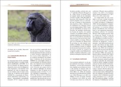 Image of Primates Biología, comportamiento y evolución