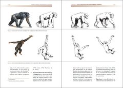 Primates Biología, comportamiento y evolución