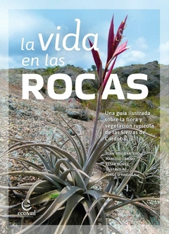 LA VIDA EN LAS ROCAS