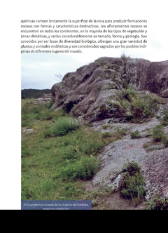 LA VIDA EN LAS ROCAS - La Biblioteca del Naturalista