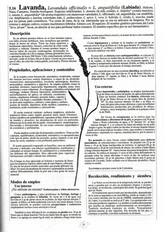Image of Recetario Patagónico y Rioplatense // Nueva Edición