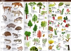 PATAGONIA Flora y Fauna - Guía de Bolsillo - La Biblioteca del Naturalista