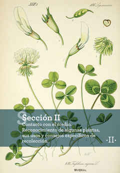 COCINA SILVESTRE - Guía práctica de reconocimiento, uso gastronómico y medicinal de plantas silvestres selectas - buy online