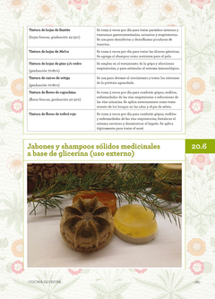 COCINA SILVESTRE - Guía práctica de reconocimiento, uso gastronómico y medicinal de plantas silvestres selectas - comprar online