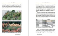 Jardines Para Atraer Picaflores en internet