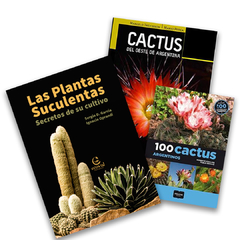 Combo Cactus-Suculentas