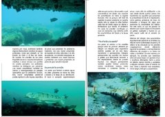 Libro: PECES DE ARRECIFE Y AMBIENTES DE BUCEO DE ARGENTINOS - tienda online