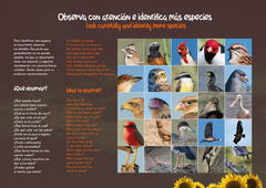 Libro de Figuritas Aves de la Provincia de Buenos Aires - La Biblioteca del Naturalista
